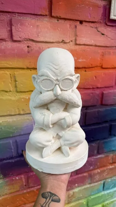 MAESTRO ROSHI GRANDE GOKU
