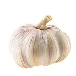 Cabeza de Ajo Legumbre x1