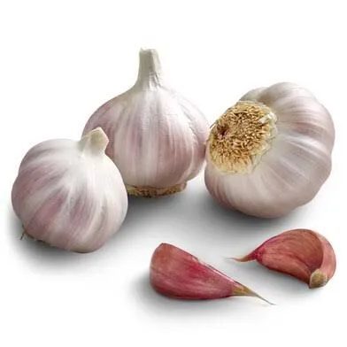 Cabeza de Ajo x3 Legumbre