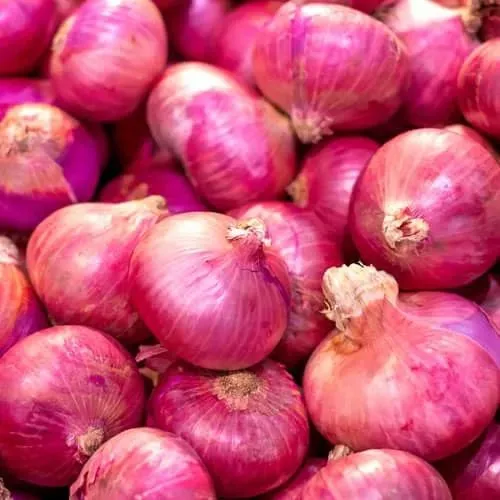 cebolla colorada x3 legumbre