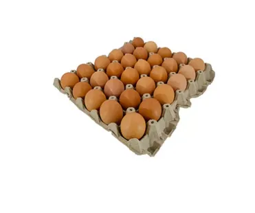 CUBETA DE HUEVO X 30