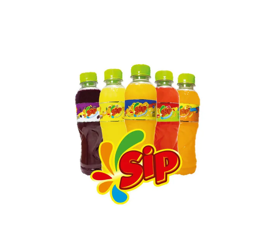 SIP BOTELLA 250ML X 12