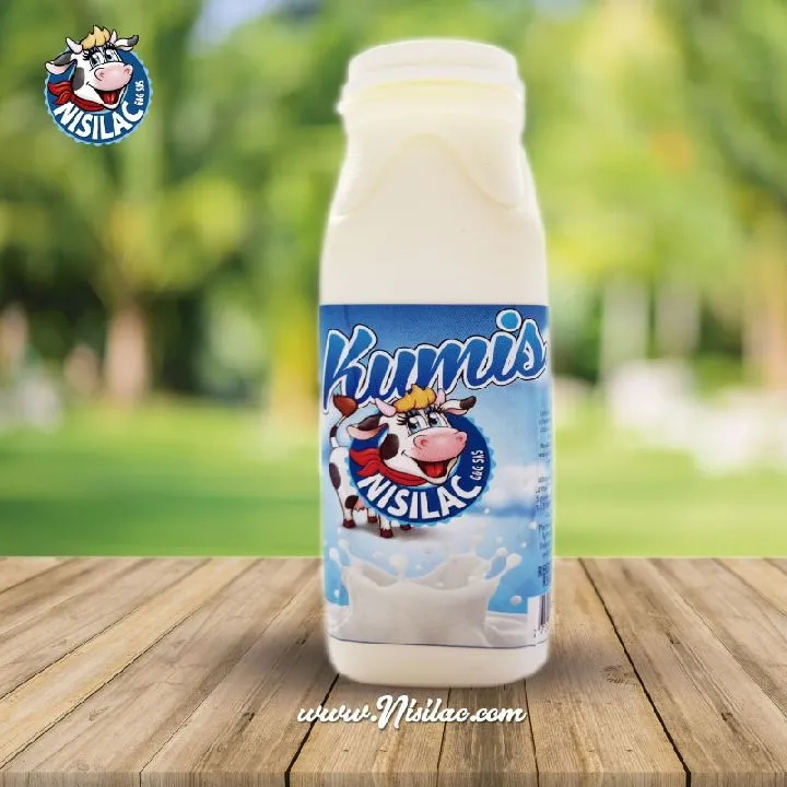 YOGURT ENTERO 250ML KUMIS