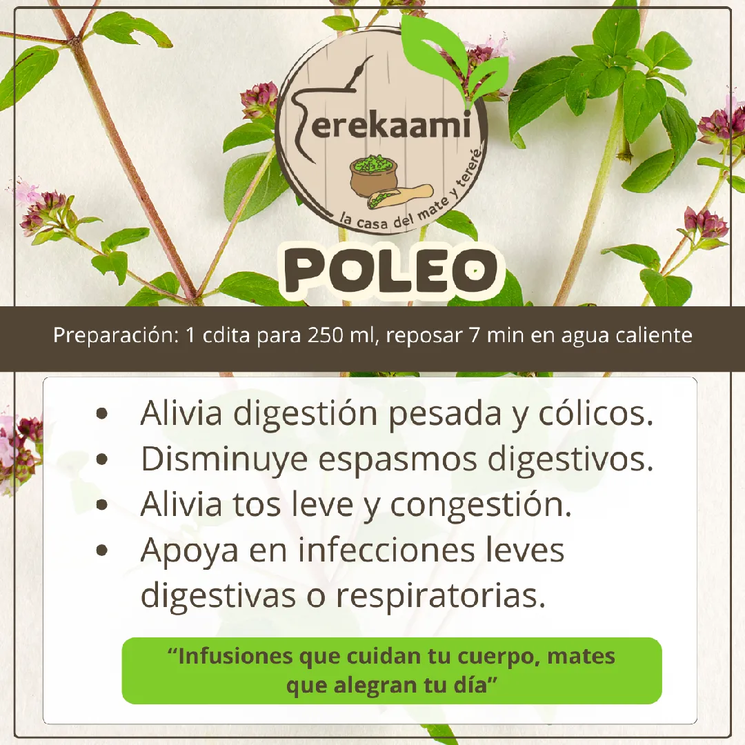 HN-Poleo