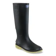 BOTA TALLA 38 TITAN CROYDON