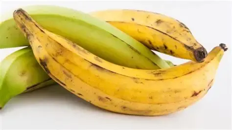 PLATANO MADURO X LIBRA