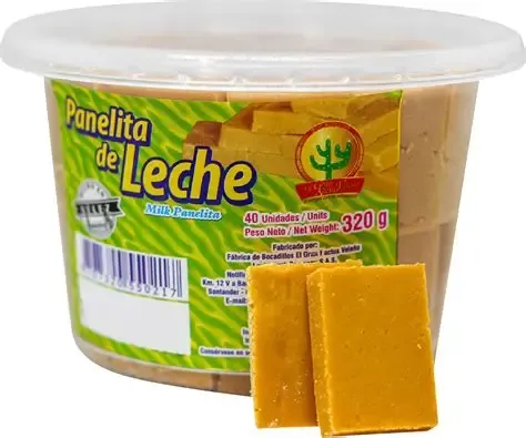 PANELITA DE LECHE