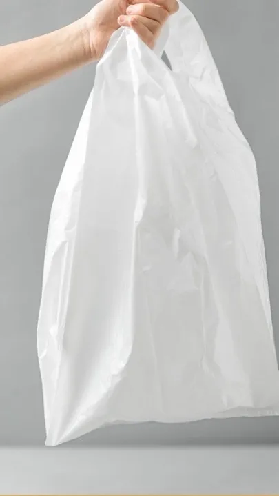 BOLSAS