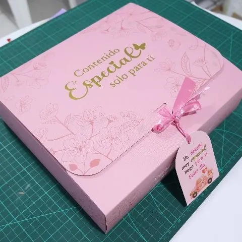 CAJA ESPECIAL 28X24X8CM