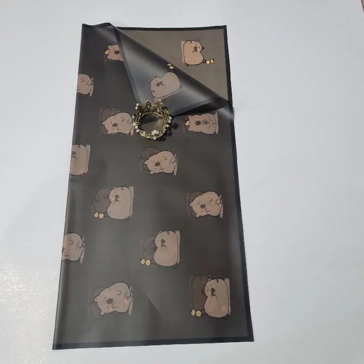 UNIDAD PAPEL COREANO NEGRO CAPIBARA TRASLÚCIDO