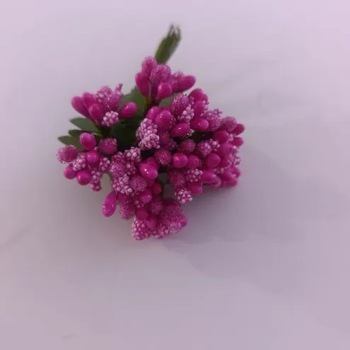 PISTILO AZUCARADO FUCSIA