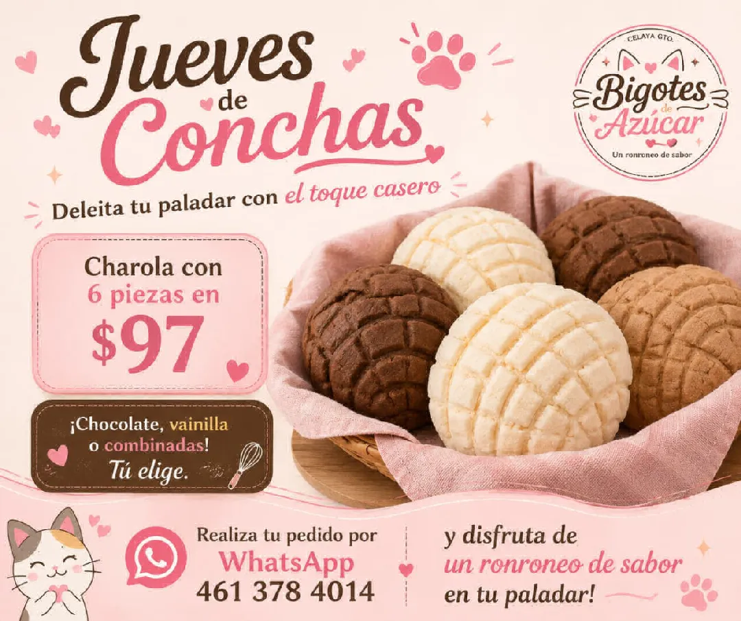 Conchas 6pz