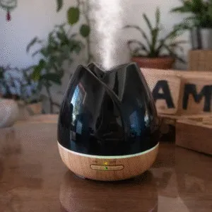 HUMIDIFICADOR YX101MC