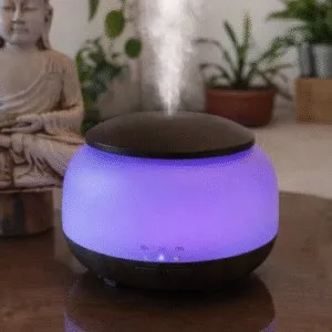 HUMIDIFICADOR YX300MO