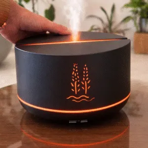 HUMIDIFICADOR 2400NE