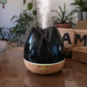HUMIDIFICADOR YX101MC