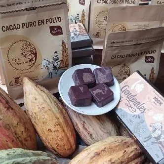 cacao en pepa x 500 gm