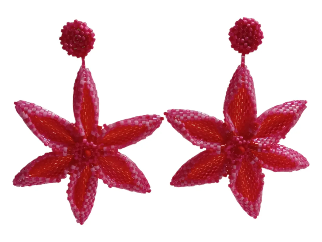 Aretes encanto  Rosa