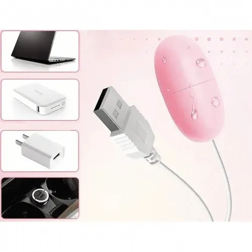 Huevo ALAMBRICO CORY 5/2.5CM USB (ROSADO) HV1253BR