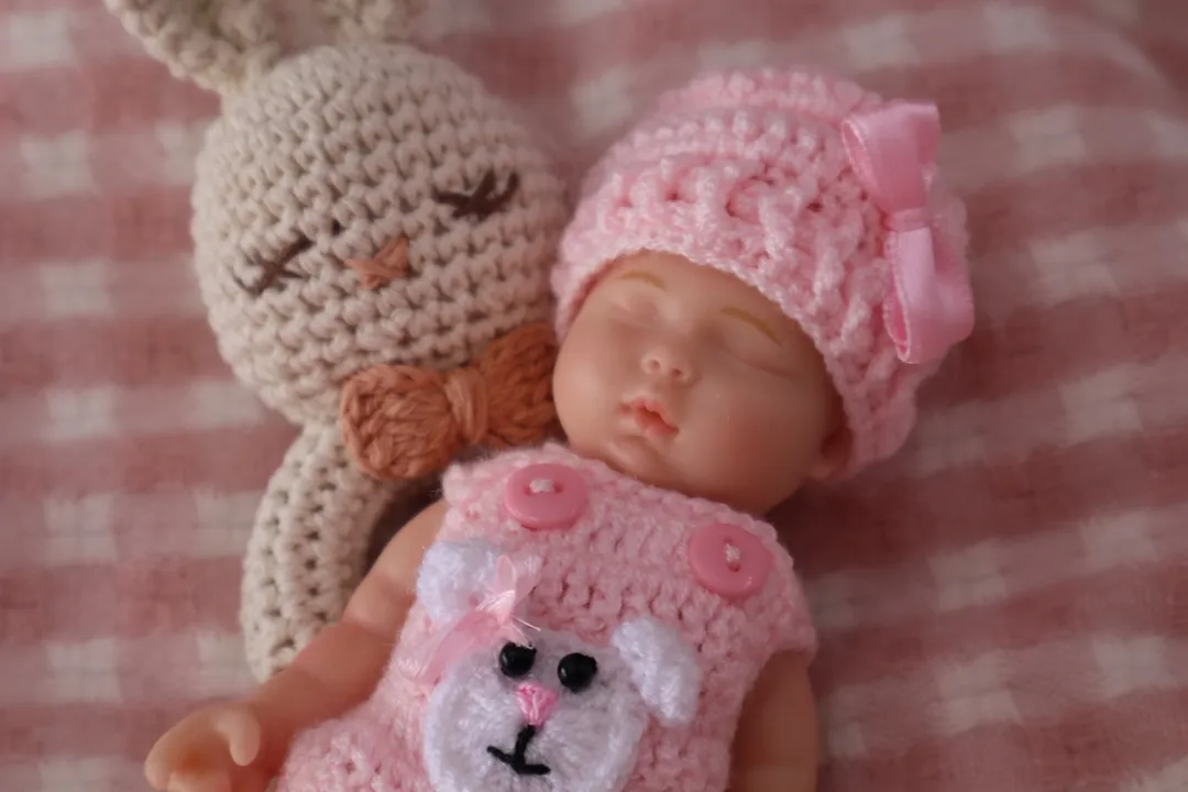 Bebe Reborn Mini Carlita Osito