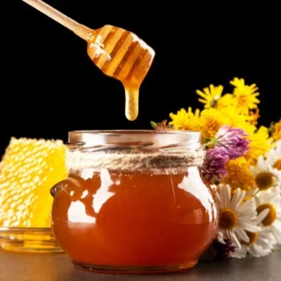MIEL DE ABEJA X30