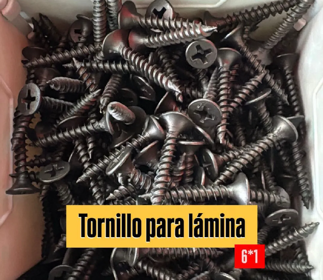 Tornillo Lamina 6*1