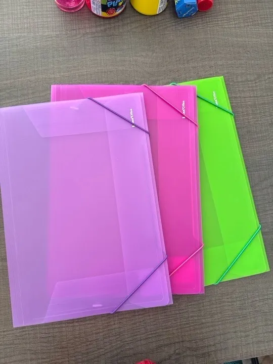CARPETA PLASTICA A4