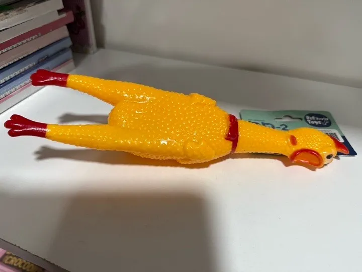 POLLO GALLINA
