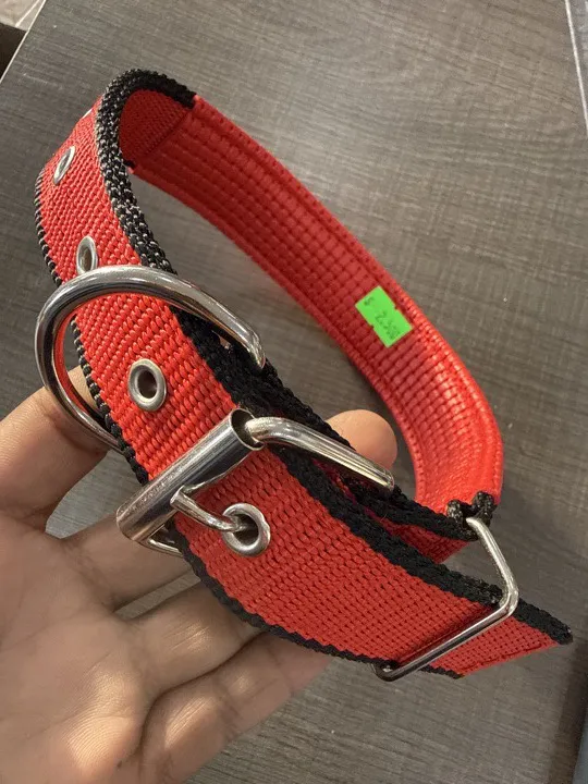 COLLAR XL Mediano 52cm perro mascota