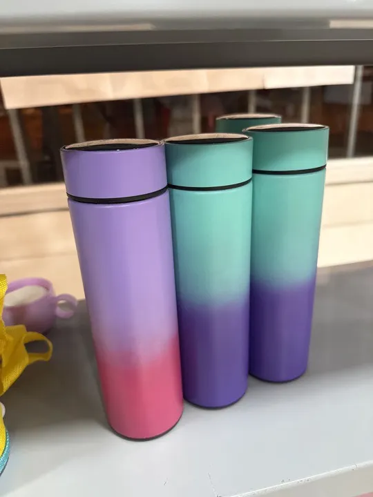 BOTELLAS TERMICA sin SENSOR DE TEMPERATURA AGUA CALIENTE