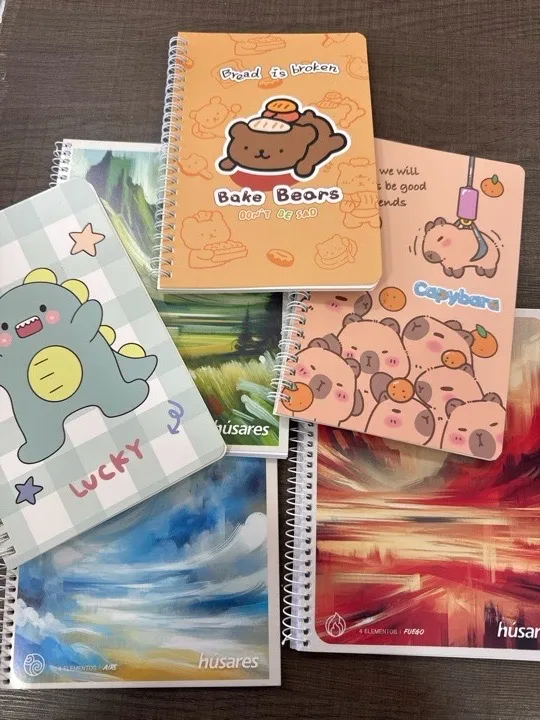 CUADERNOS A5 ESPIRAL RAYADOS MOTIVOS VARIOS