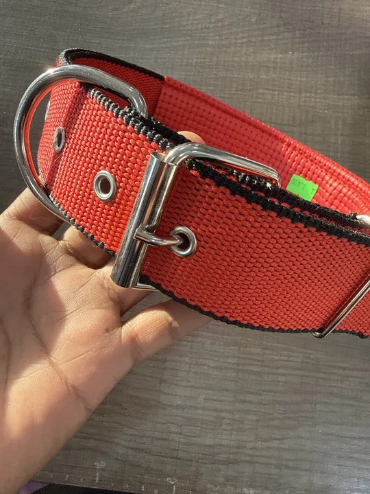COLLAR XXL GRANDE 70cm perro mascota