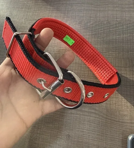 COLLAR L 55cm chico perro mascota