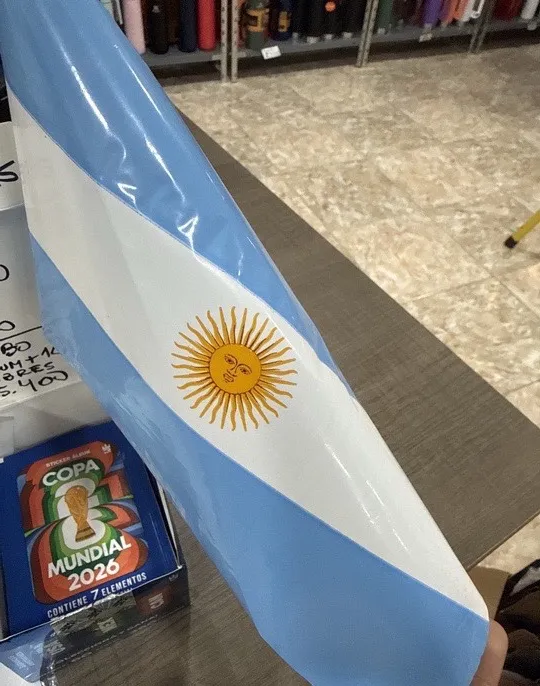 BANDERA ARGENTINA PEQUEÑAS PLÁSTICAS