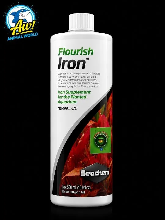 iron 100ml