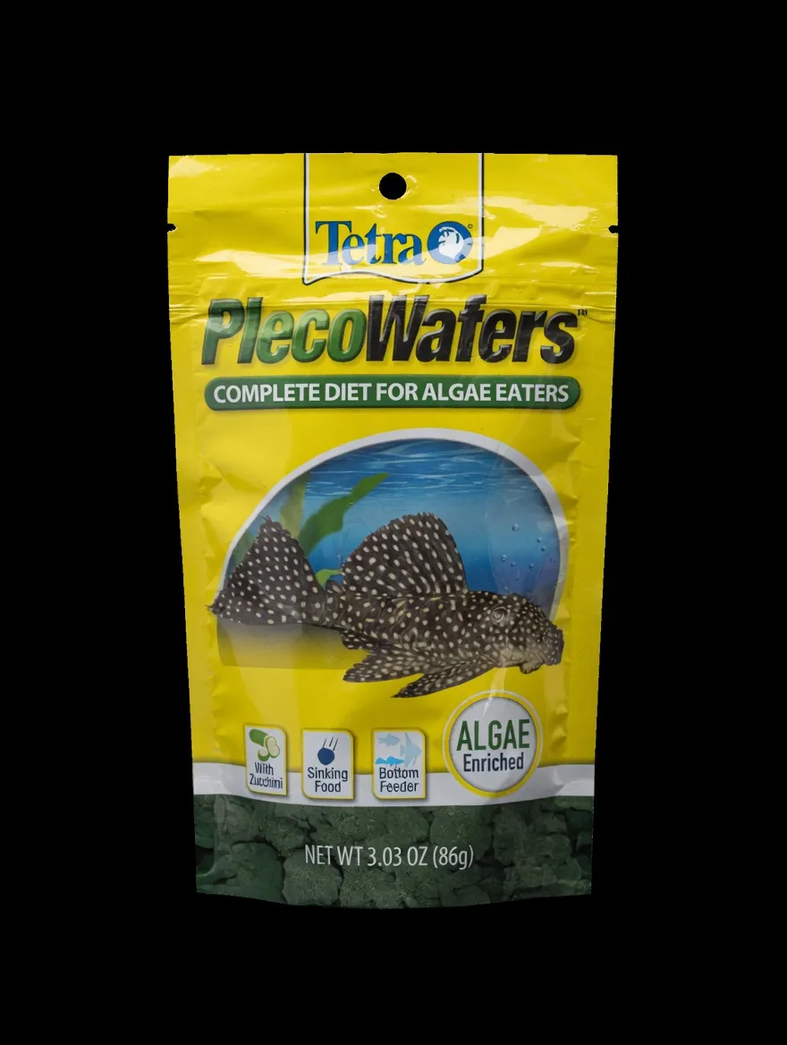 tetra plecowaters