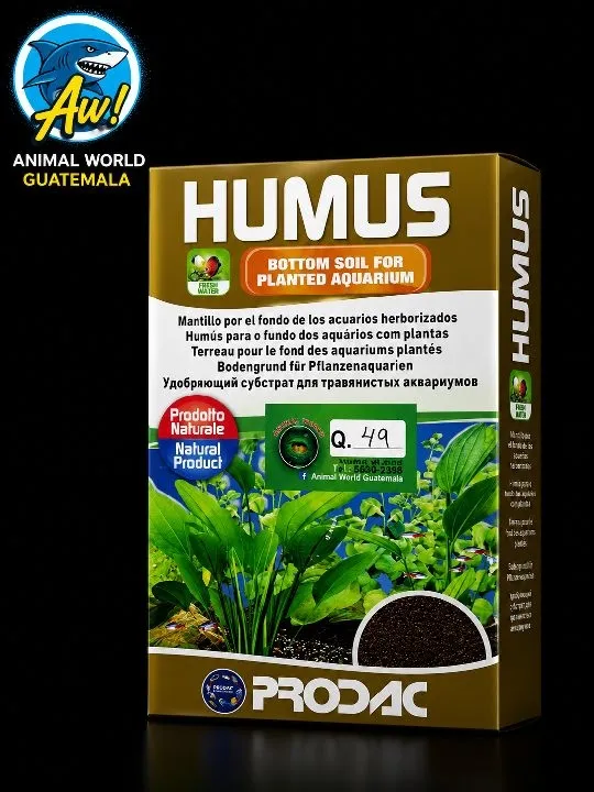 Humus