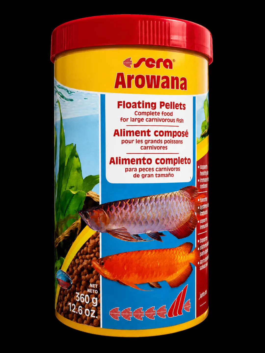 sera arowana