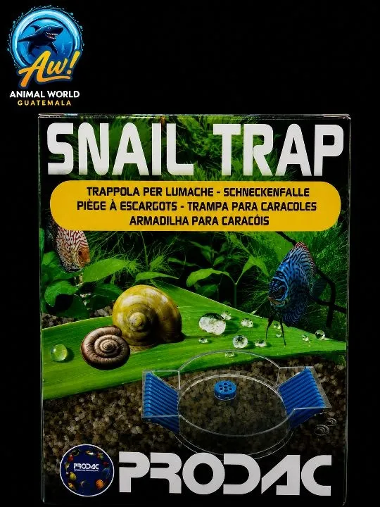 SNAIL TRAP TRAMP PARA CARCOLES
