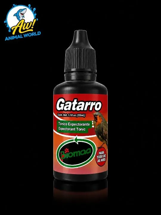 Catarro