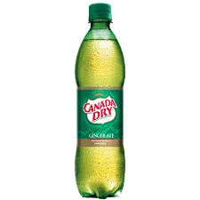 Canada Dry 300ml