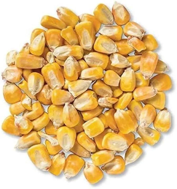 MAIZ AMARILLO ENTERO X 1K