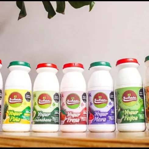 YOGURT PERSONAL  EL SAN FELENO MORA x 200 ML