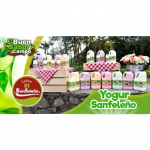 YOGURT EL SAN FELENO MORA  X  1L
