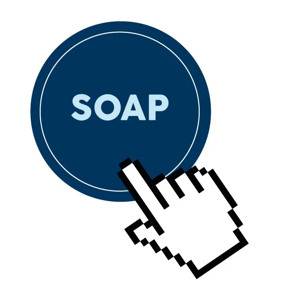 Seguros Soap