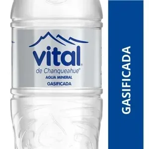 Fruna - Z Agua Vital 1.6 Lts Con Gas