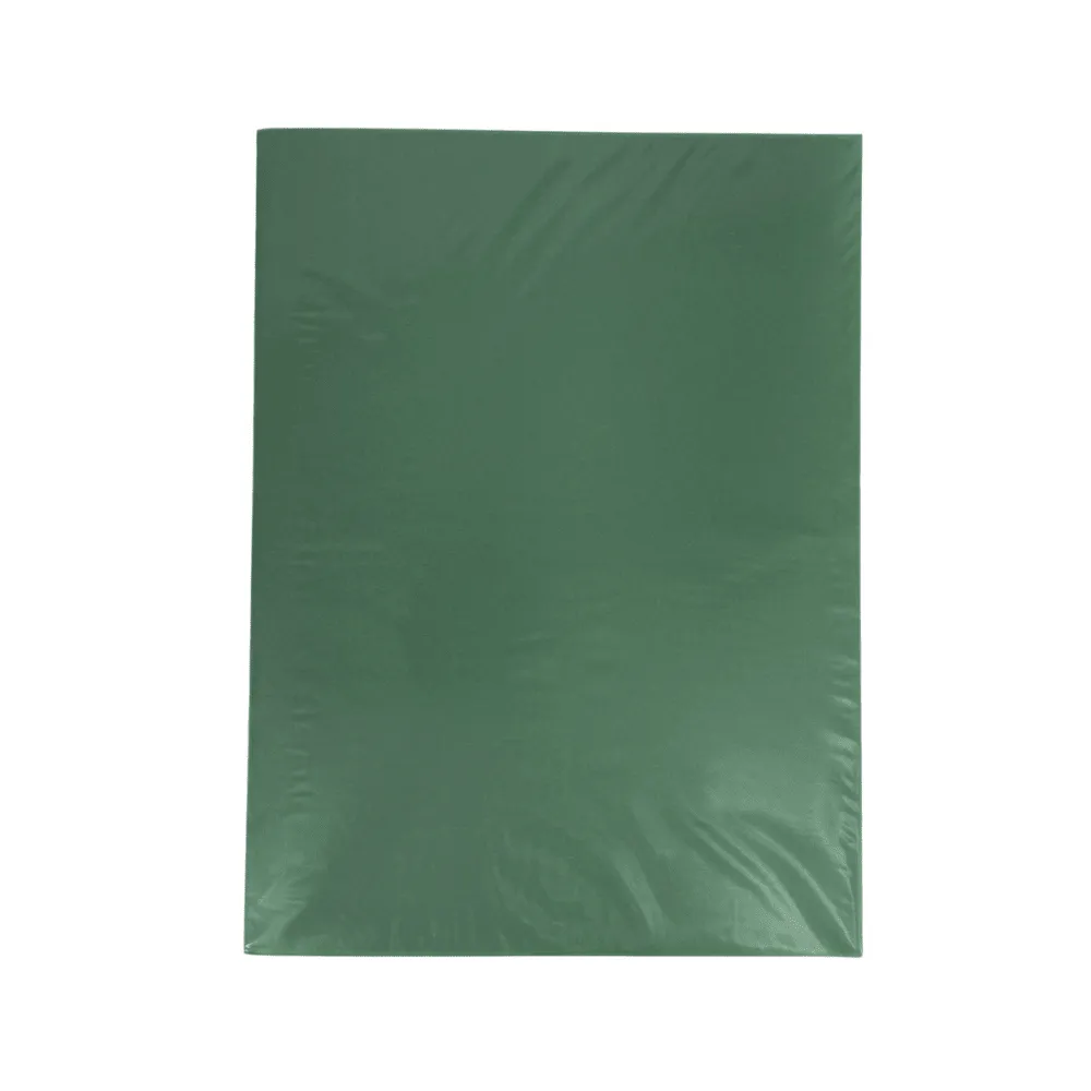 Carpeta Plastica S/A Verde