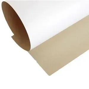 Ecocraft - ZZ Carton Forrado Blanco 255gr 77x110cm