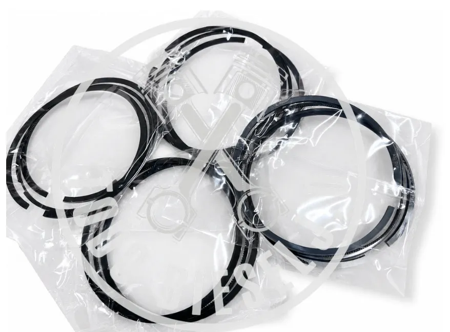 ANILLOS MOTOR JMC CC 2.771 EURO 6