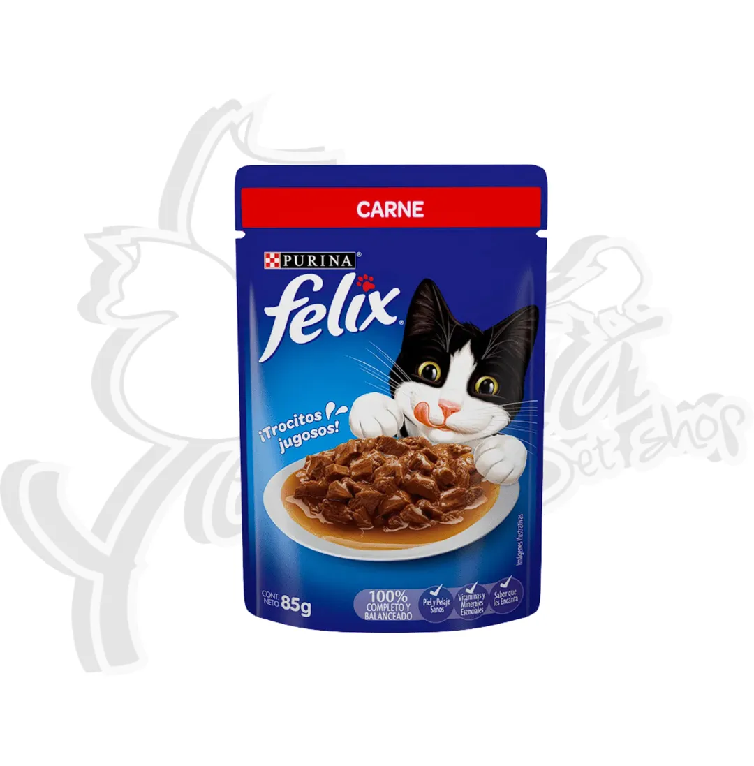 FELIX  CARNE SOBRE 85G